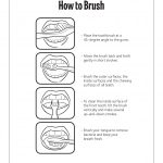 11 Dental Health Activity Sheets (Oral Health Made Easy) | Dental | Dental Hygiene Printable Worksheets