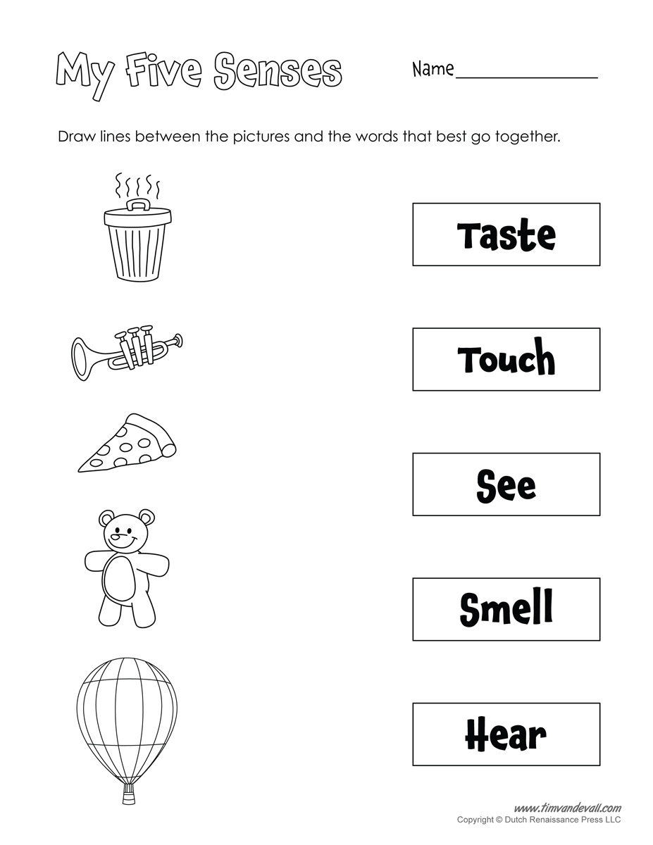 A Collection Of Printables That Are Useful For Everyday Classroom | Free Printable Worksheets Kindergarten Five Senses