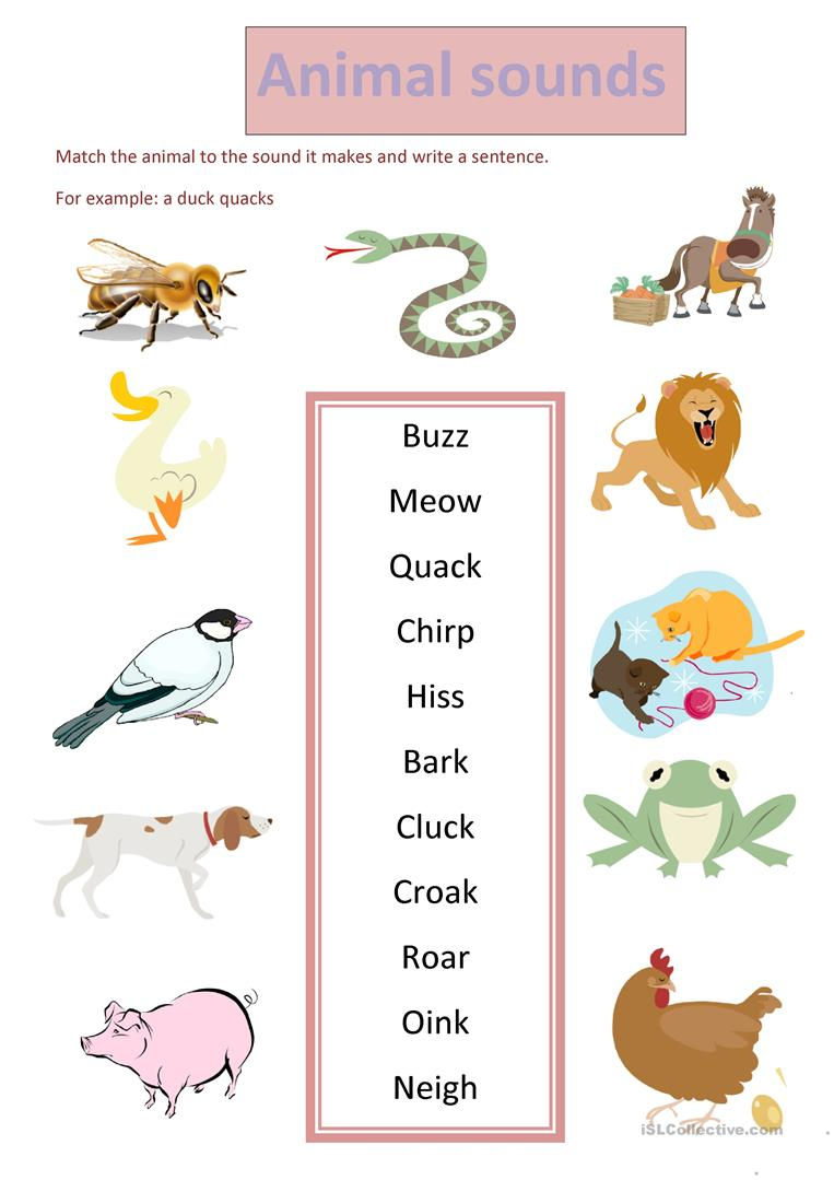 Animal Sounds Worksheet - Free Esl Printable Worksheets Madeteachers | Animal Sounds Printable Worksheets
