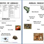Animals And Their Characteristics (Free Worksheet)   Homeschool Den | Free Printable Worksheets On Vertebrates And Invertebrates