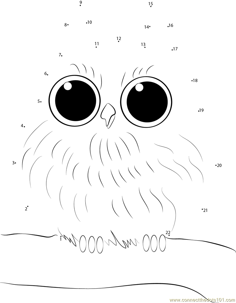 Baby Owl Dot To Dot Printable Worksheet - Connect The Dots | Owl Babies Printable Worksheets