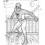 Colors   Spiderman   Esl Worksheetim Lety | Spiderman Worksheets Free Printables