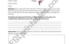 English Worksheets: Colored Celery Experiment | Celery Experiment Printable Worksheet