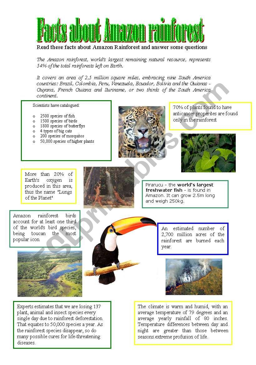 Facts About Amazon Rainforest - Esl Worksheetathos466 | Rainforest Printable Worksheets