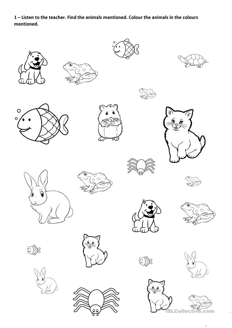 Find, Colour And Count Pets Worksheet - Free Esl Printable | Pets Worksheets Printables