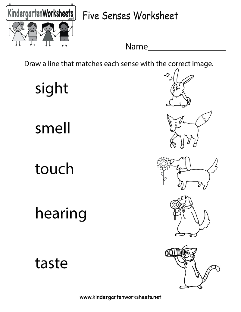 Five Senses Worksheet - Free Kindergarten Learning Worksheet For | Free Printable Worksheets Kindergarten Five Senses