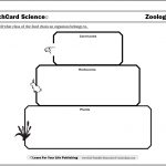 Food Chain Worksheets | Food Chain Printable Worksheets