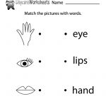 Free Body Parts Word Recognition Worksheet For Preschool | Free Printable Worksheets Preschool Body Parts