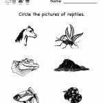Free Printable Science Worksheets For Kindergarten To Free   Math | Free Printable Reptile Worksheets