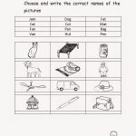 Free Printable Worksheets For Kindergarten – With Number Also | Free Printable Homework Worksheets