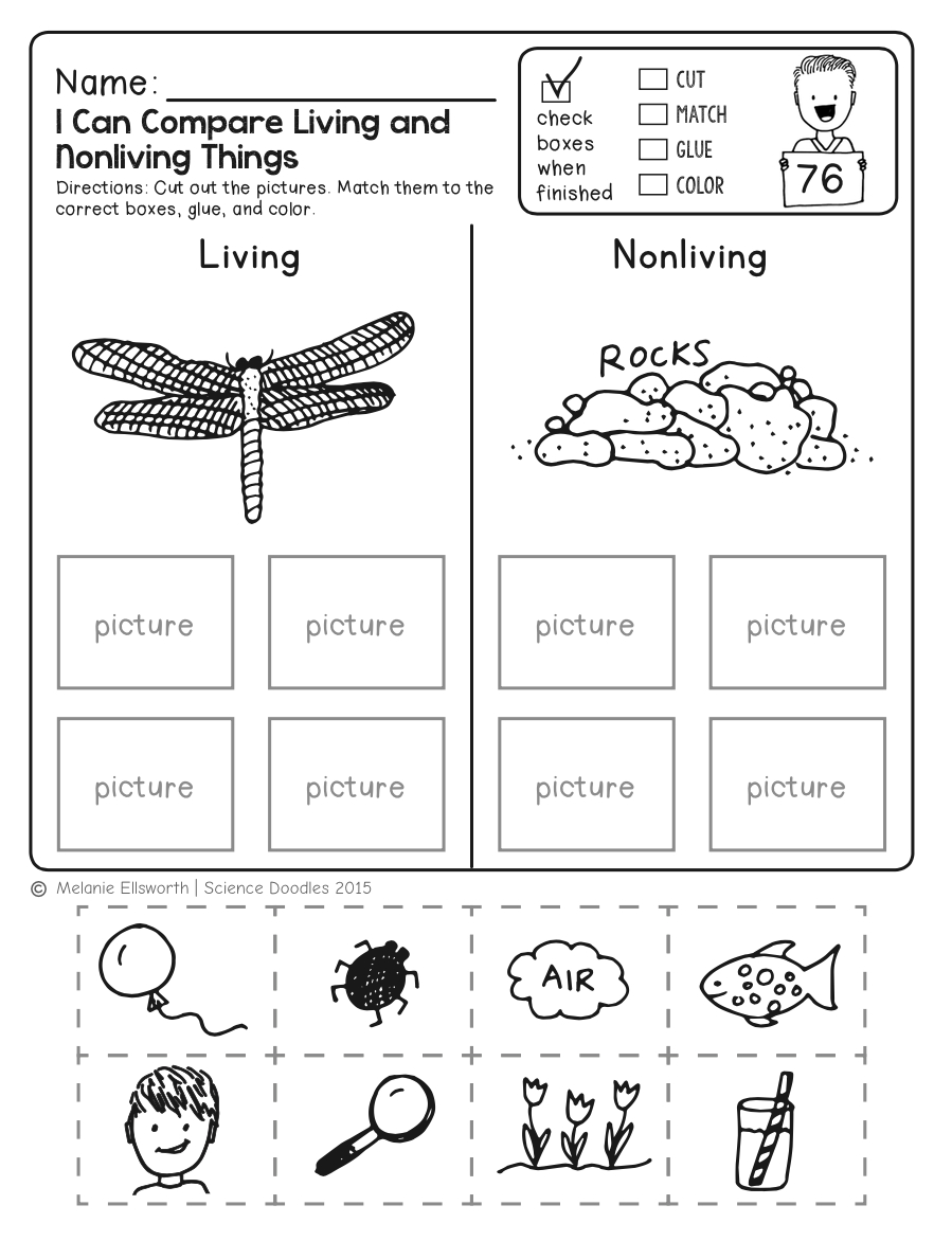 Freebie! No-Prep Kindergarten Science Doodle Printables | T E A C H | Free Printable Science Worksheets