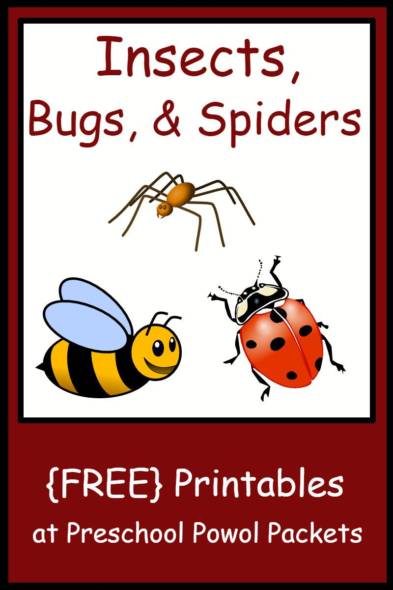 Insect, Bug, &amp;amp; Spider Themed {Free} Preschool Printables | Teaching | Free Printable Worm Worksheets