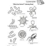 K 5 Hand Hygiene Lesson Plans And Worksheets Lesson 6 Page 1 | K 5 | Germs Worksheets Printables