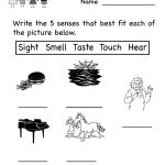 Kindergarten Five Senses Worksheet For Kids Printable | Worksheets | Free Printable Worksheets Kindergarten Five Senses