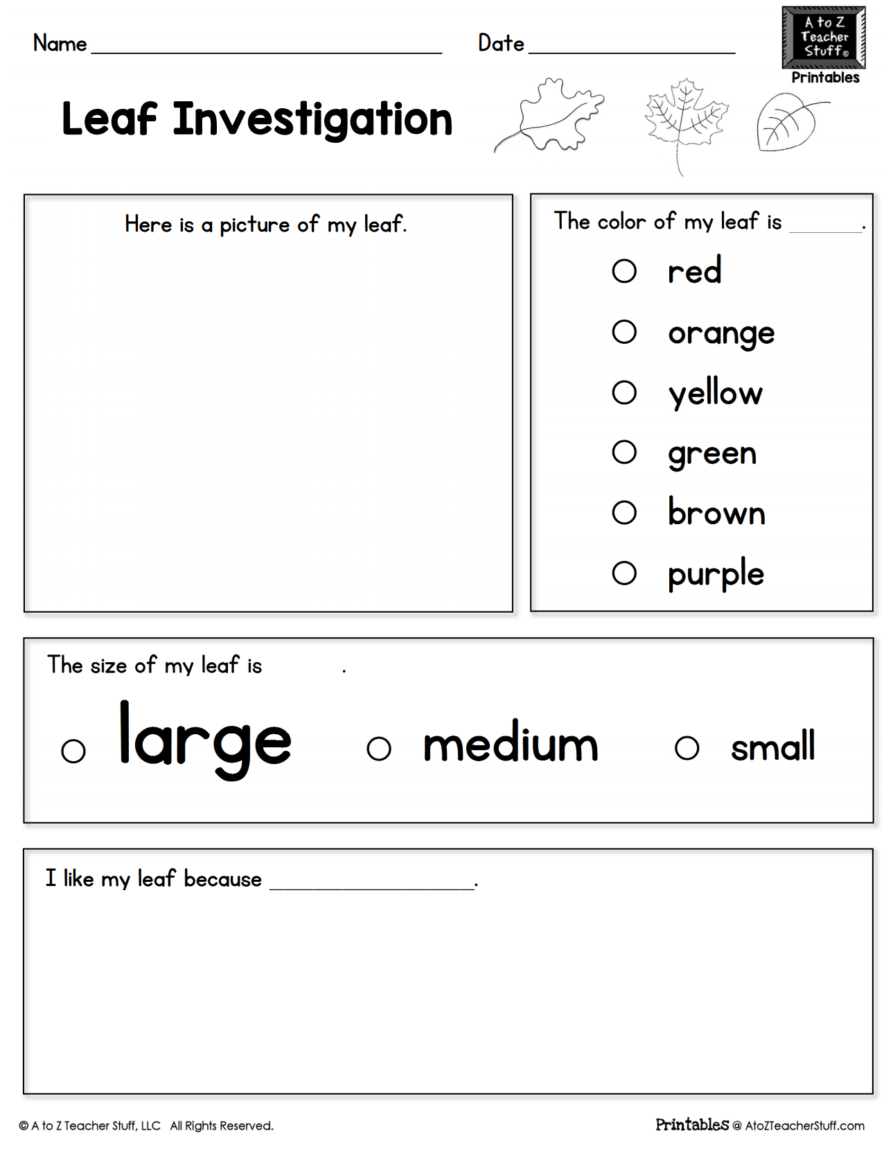 Leaf Investigation Printable Worksheet | A To Z Teacher Stuff | Printable Fall Worksheets