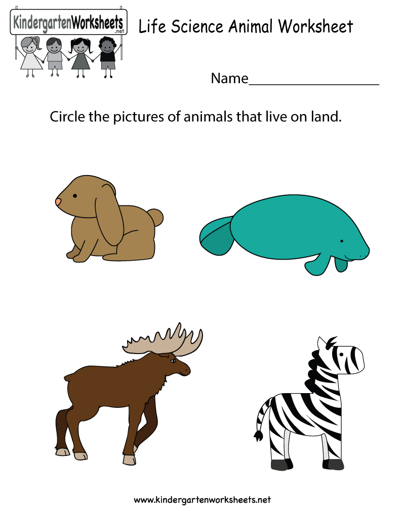 Life Science Animal Worksheet - Free Kindergarten Learning Worksheet | Science Worksheets For Kindergarten Free Printable