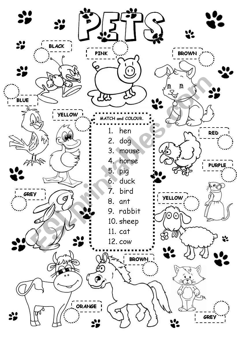 Animals Pets Worksheet Free Esl Printable Worksheets Made Pets