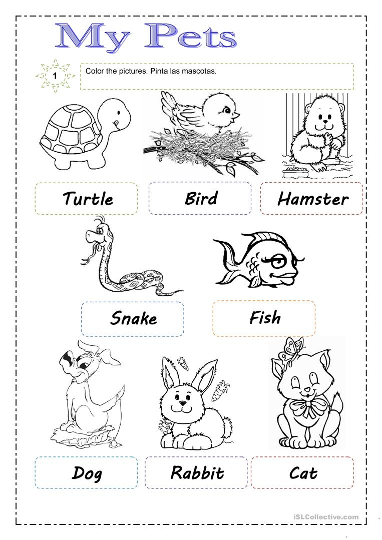 Printable Preschool Pet Theme Worksheet