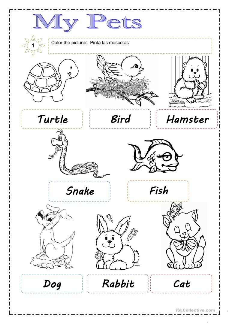 Stempelkaart Pets Preschool Theme Kindergarten Worksheets Pets 