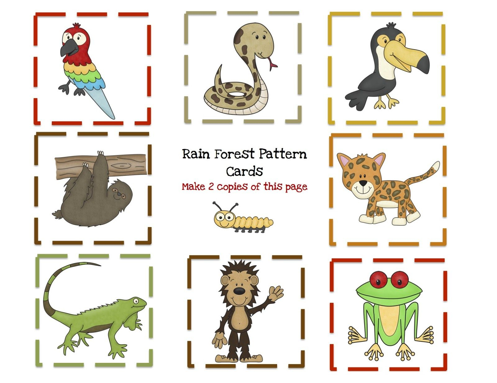 rainforest printable worksheets printable worksheets