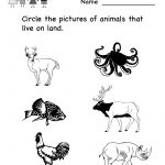 Science Printables For Kids | Life Science Animal Worksheet   Free | Kindergarten Science Worksheets Printable
