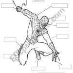 Spiderman Body Parts   Esl Worksheetsarajbigg87 | Spiderman Worksheets Free Printables