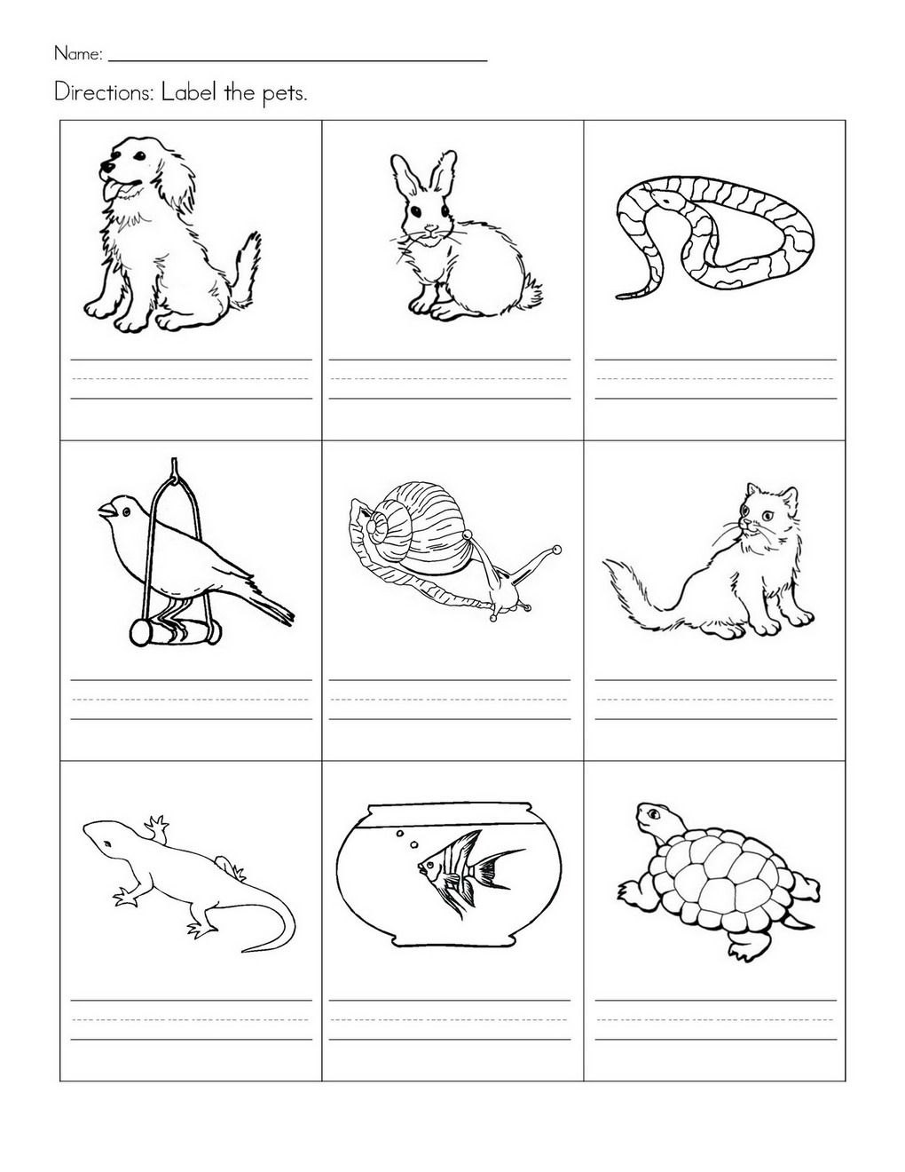 Stempelkaart | Pets Preschool Theme | Kindergarten Worksheets | Free Printable Pet Worksheets