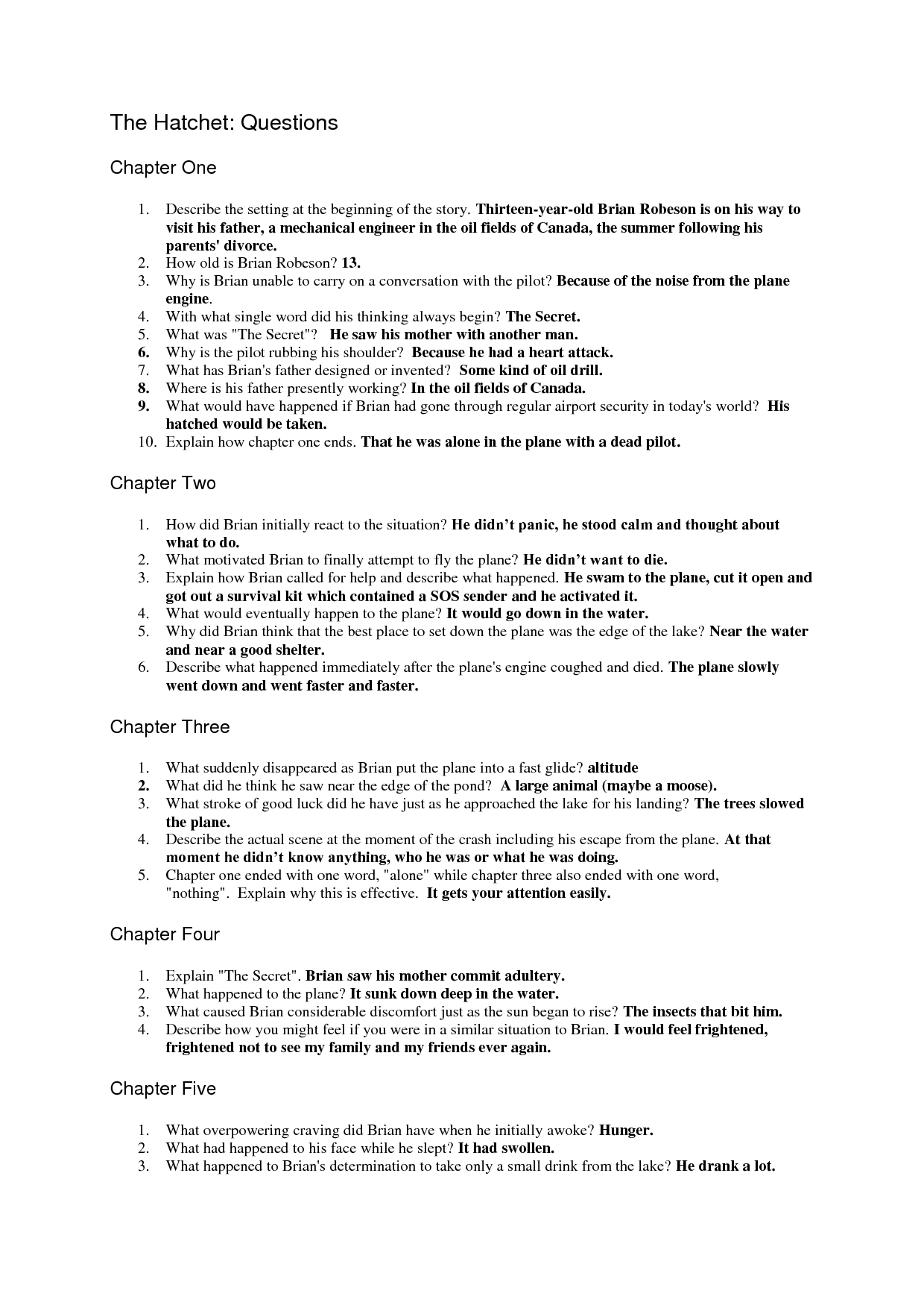 The Hatchet Question Sheet - Answers | Questions | Essay Questions | Hatchet Worksheets Printable