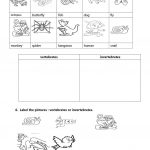 Vertebrates And Invertebrates Worksheet   Free Esl Printable | Free Printable Worksheets On Vertebrates And Invertebrates
