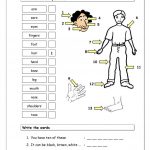 Vocabulary Matching Worksheet   Body Parts (1) Worksheet   Free Esl | Free Printable Worksheets Kindergarten Body Parts