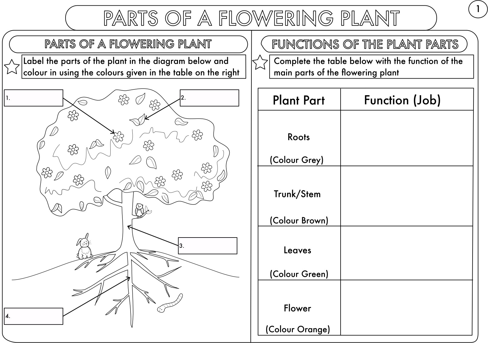 Year 3 Science: Parts Of A Plant Worksheetbeckystoke | Teaching | Science Worksheets Ks2 Printable