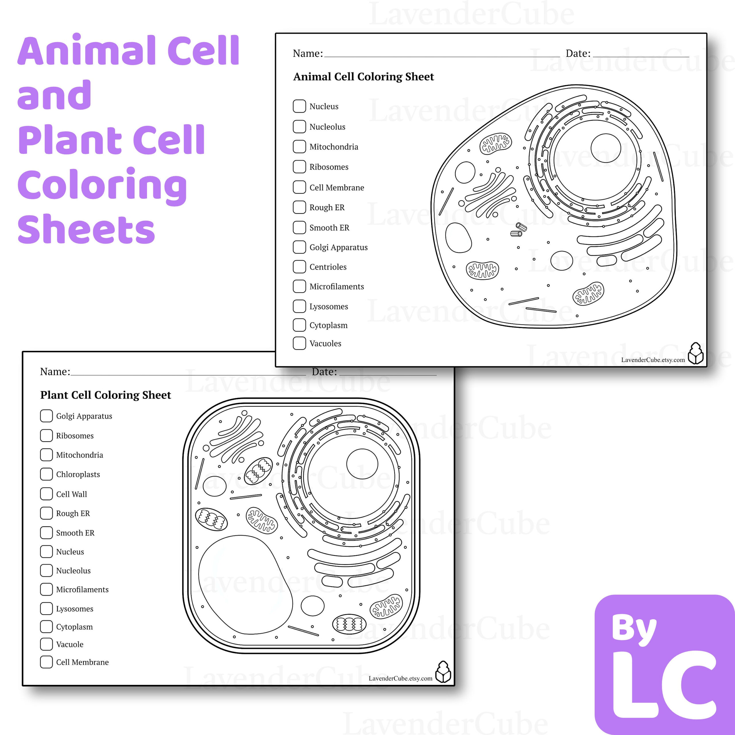Animal And Plant Cell Coloring Worksheets - Digital Download - 300 | Animal And Plant Cell Worksheets Printable