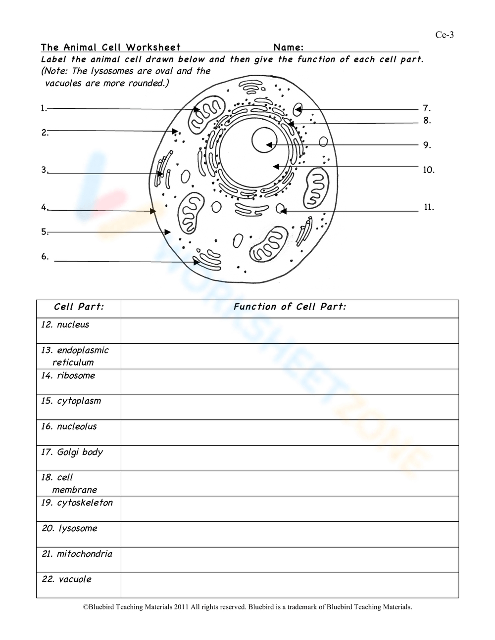 Animal Cell Worksheets &amp;amp; Printable | Free Printable Cell Worksheets