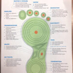 Carbon Footprint Vocabulary Worksheet – Wordmint – Worksheets Library | Printable Carbon Footprint Worksheet