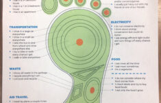 Carbon Footprint Vocabulary Worksheet – Wordmint – Worksheets Library | Printable Carbon Footprint Worksheet