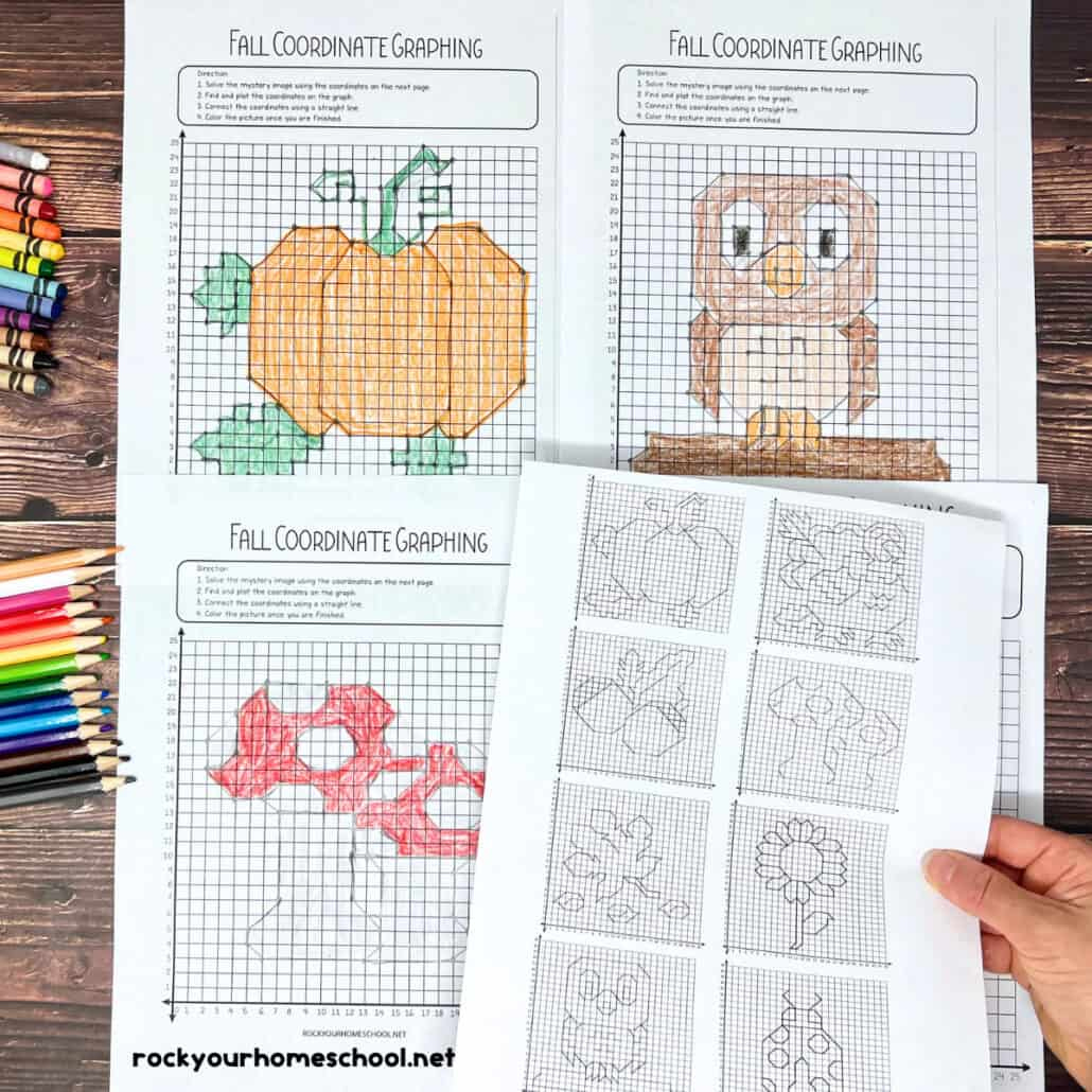 coordinate graphing pictures how to use for fall fun free rock thanksgiving coordinate graphing picture worksheets free Coordinate Graphing Pictures: How To Use For Fall Fun (Free)- Rock | Thanksgiving Coordinate Graphing Picture Worksheets Free