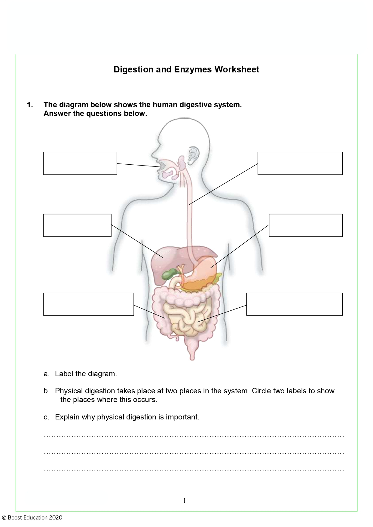 Download Free Printable Science Worksheets - Boost Education | Printable Worksheets Com Science Answers