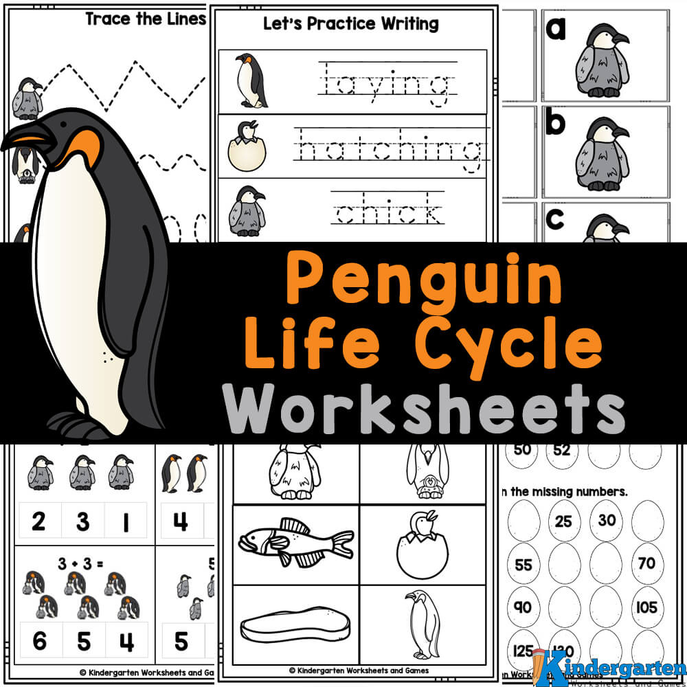 f09f90a7 penguin life cycle worksheets for kids free printable penguin worksheets 🐧 Penguin Life Cycle Worksheets For Kids | Free Printable Penguin Worksheets