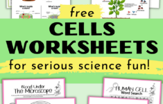 Free Cells Worksheets For Super Fun Science Activities For Kids | Free Printable Cell Worksheets