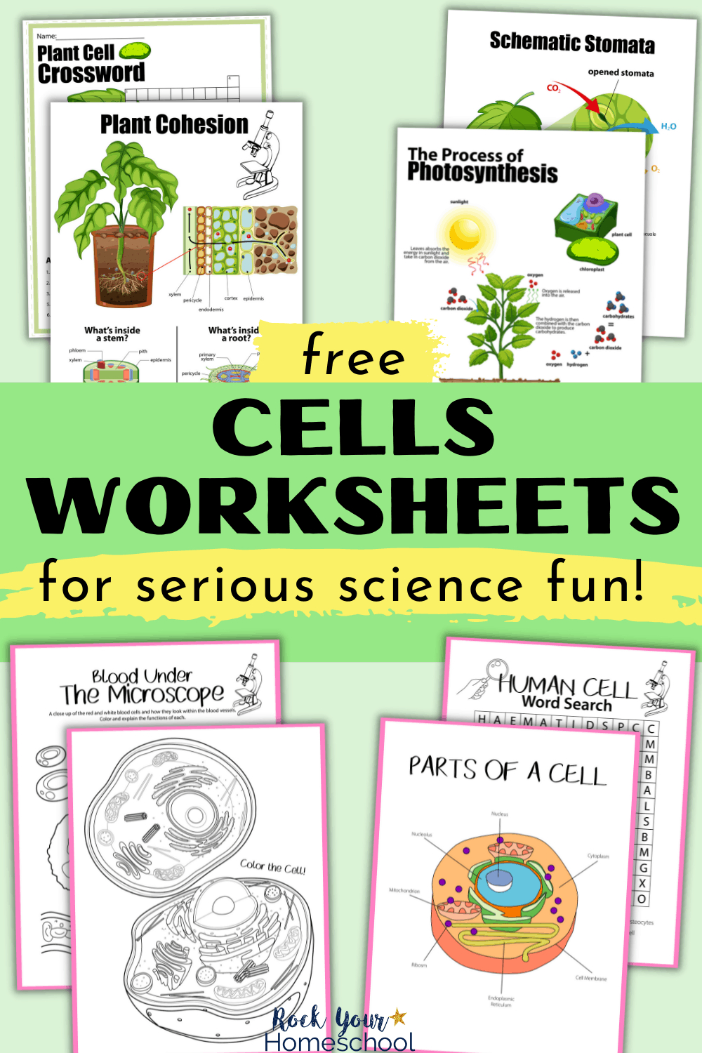 Free Cells Worksheets For Super Fun Science Activities For Kids | Free Printable Cell Worksheets