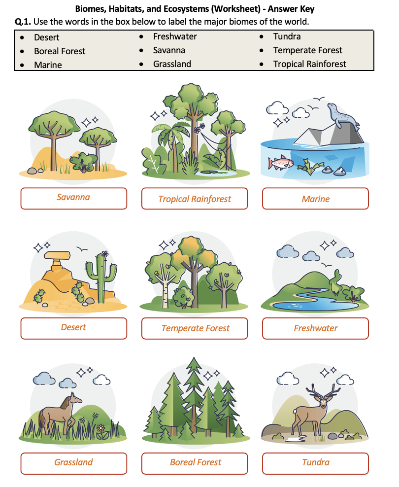 free free printable ecosystem worksheet download free free free printable ecosystem worksheets Free Free Printable Ecosystem Worksheet, Download Free Free | Free Printable Ecosystem Worksheets