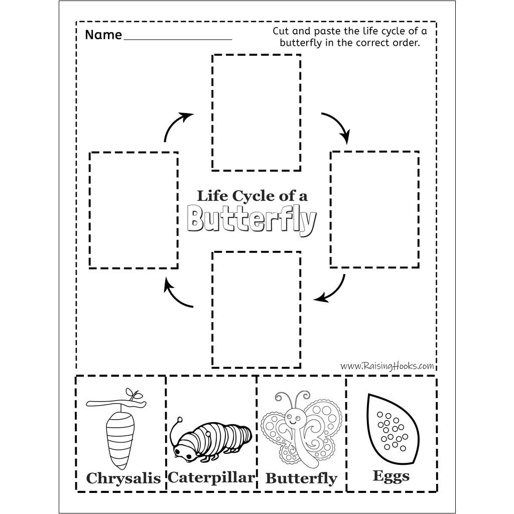 Life Cycle Of A Butterfly – Cut And Paste - Raising Hooks | Printable Butterfly Life Cycle Worksheet