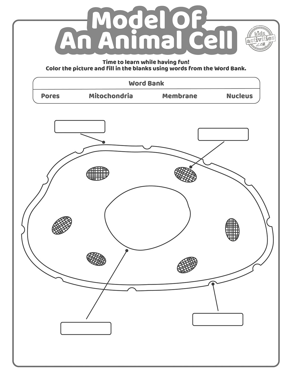 Model Of An Animal Cell Coloring Pages | Kids Activities Blog | Free Printable Animal Cell Worksheets