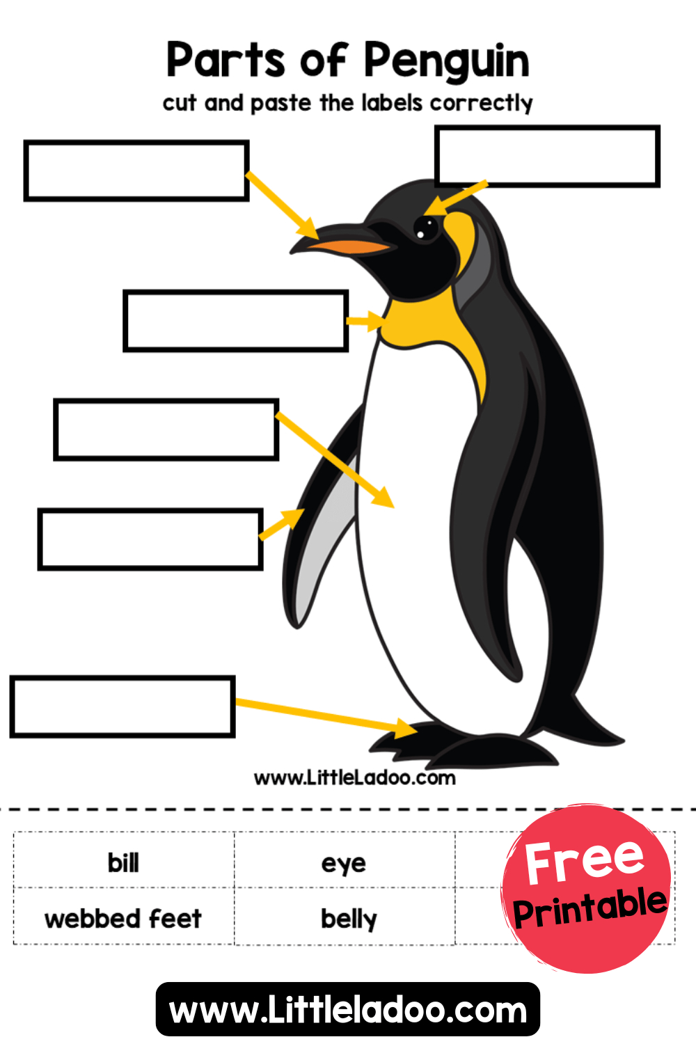 parts of penguin worksheets free printable free printable penguin worksheets Parts Of Penguin Worksheets {Free Printable} | Free Printable Penguin Worksheets