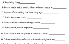 Printable Fossils Worksheets | Free Printable Worksheets On Fossils