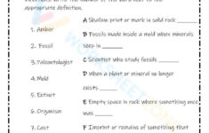 Printable Grade 11 Fossils Worksheets | Free Printable Worksheets On Fossils