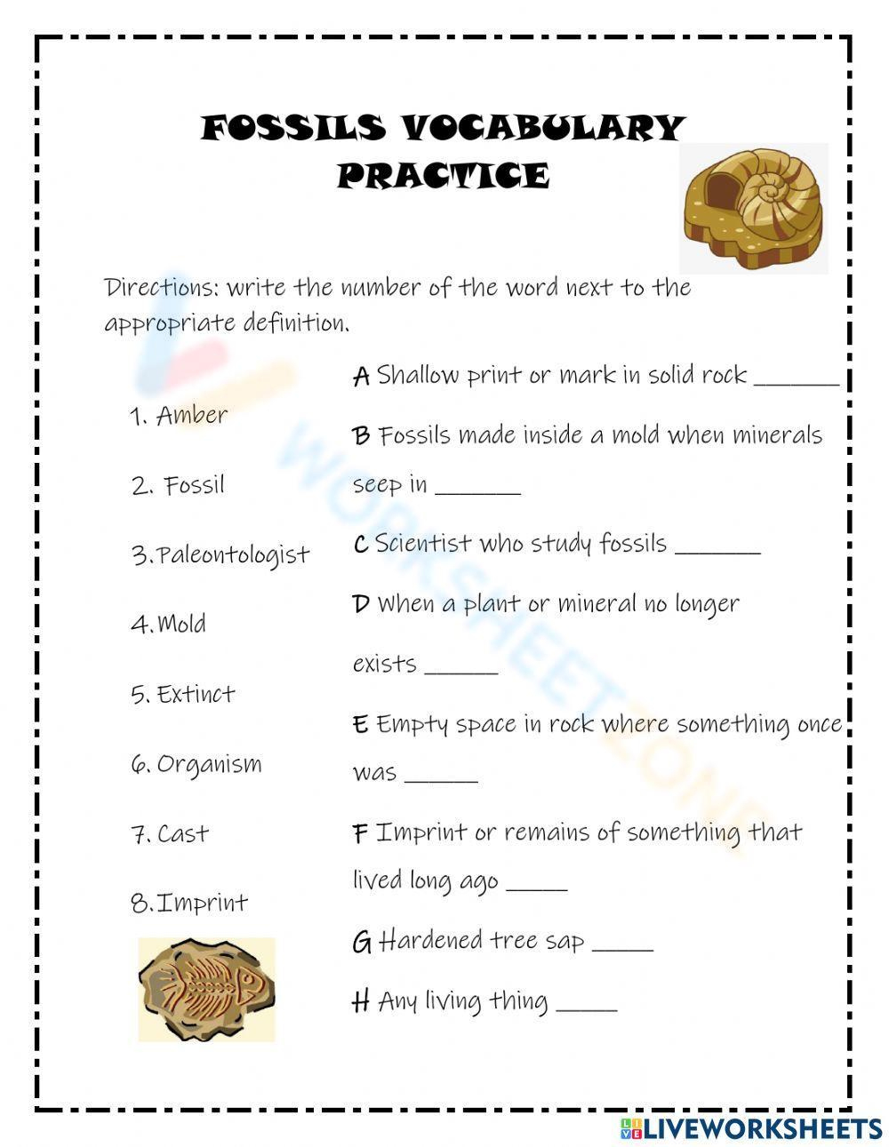 printable grade 11 fossils worksheets free printable worksheets on fossils Printable Grade 11 Fossils Worksheets | Free Printable Worksheets On Fossils