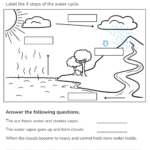 Printable Grade 4 Water Cycle Worksheets Download | Water Cycle Diagram Printable Worksheet