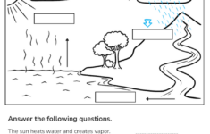 Printable Grade 4 Water Cycle Worksheets Download | Water Cycle Diagram Printable Worksheet