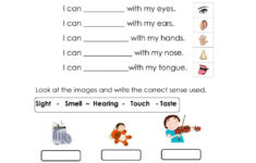 Free Printable Second Grade Science Worksheets